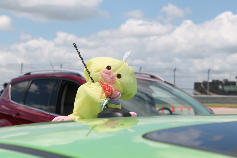 Illustration for article titled X Games Austin Preview: Put A Bird On It